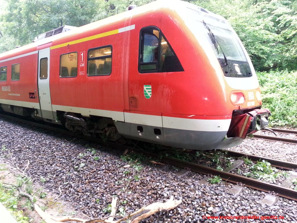 Bahn kollidiert mit umgestürtzter Eiche